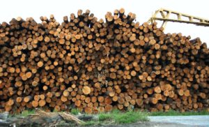 lumber tariffs