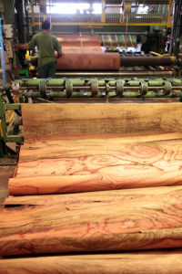 plywood veneers
