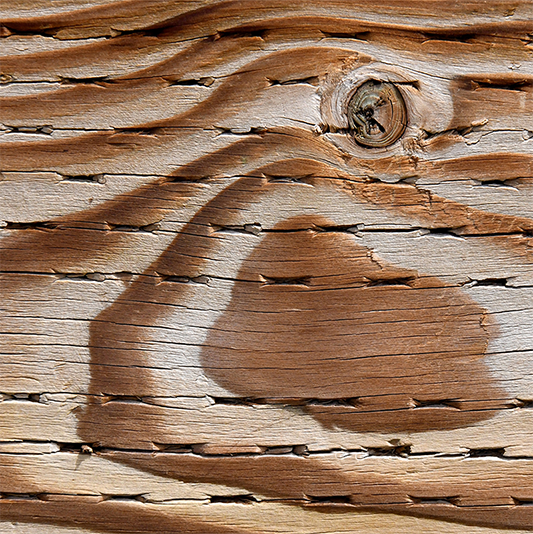 59 Pressure Treated, Rot, & Full and Scant Dimensions Shannon's Lumber Industry Update