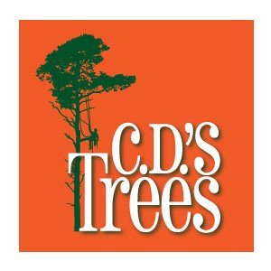 cd's trees