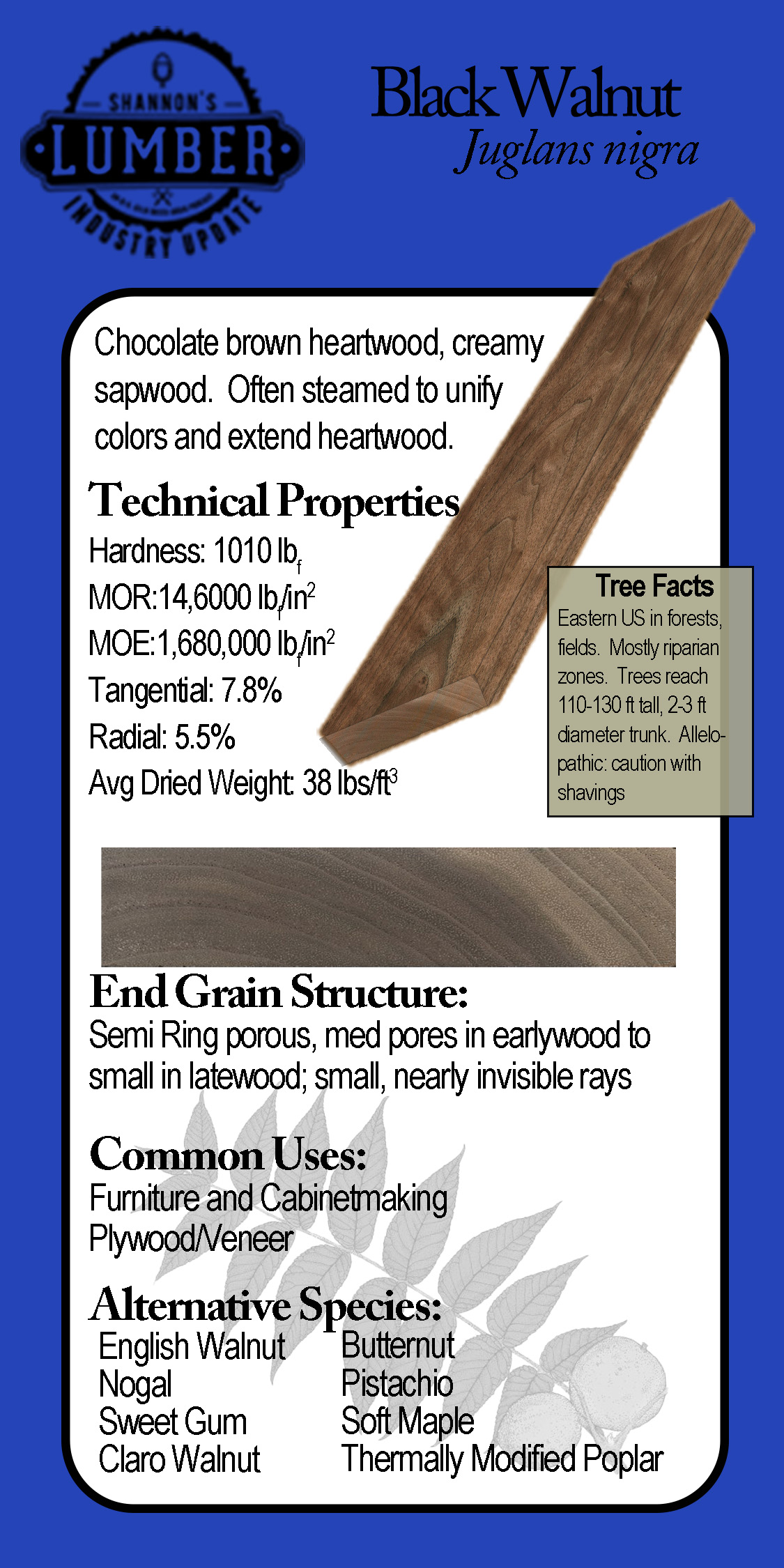 American Black Walnut